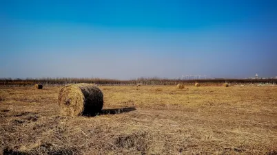 Kakadu Casino Application mobile